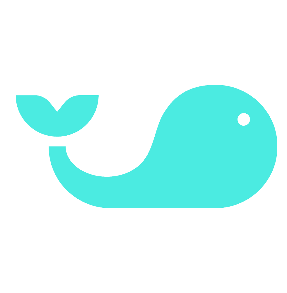 Splash Sports logo mark